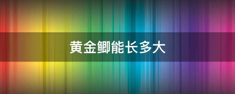 黄金鲫能长多大（黄金鲫鱼一年能长多少斤）