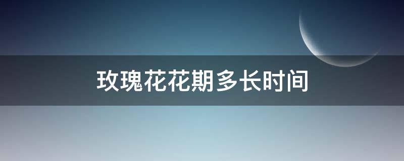 玫瑰花花期多長(zhǎng)時(shí)間（四季玫瑰花花期多長(zhǎng)時(shí)間）