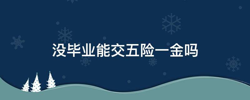 没毕业能交五险一金吗 没毕业能交五险一金吗专升本