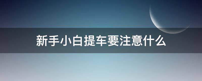 新手小白提車要注意什么（新手小白提車應(yīng)注意什么）