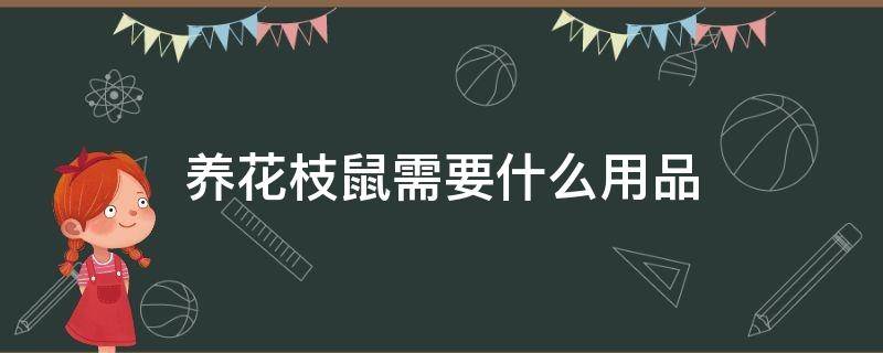 養(yǎng)花枝鼠需要什么用品 養(yǎng)花枝鼠必備