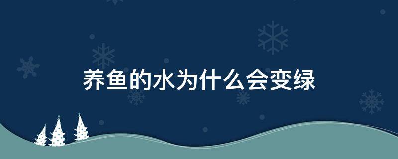 养鱼的水为什么会变绿 养鱼的水为什么会发绿