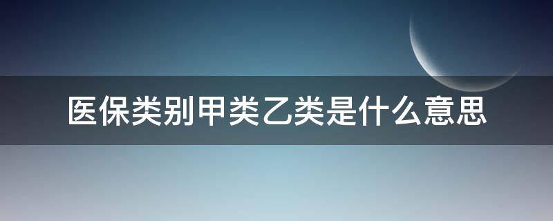 醫(yī)保類別甲類乙類是什么意思（醫(yī)保什么是甲類什么是乙類）