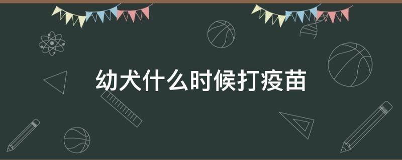 幼犬什么時候打疫苗 金毛幼犬什么時候打疫苗