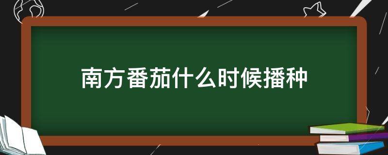 南方番茄什么時(shí)候播種 番茄南方播種時(shí)間