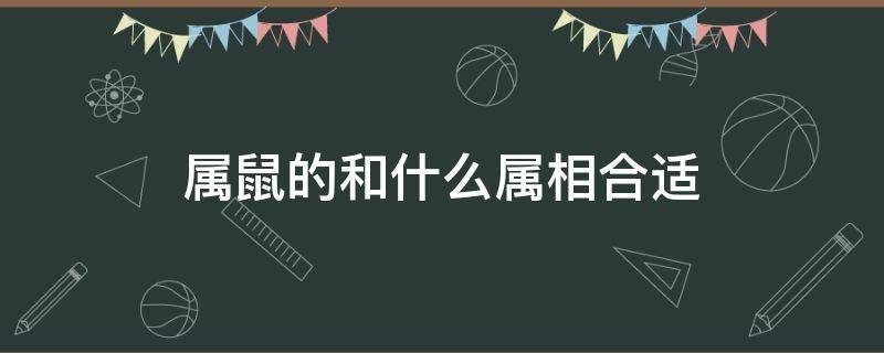 屬鼠的和什么屬相合適 屬鼠適合跟什么屬相