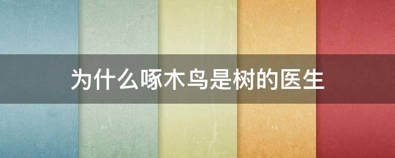 为什么啄木鸟是树的医生 为什么啄木鸟是树的医生一年级