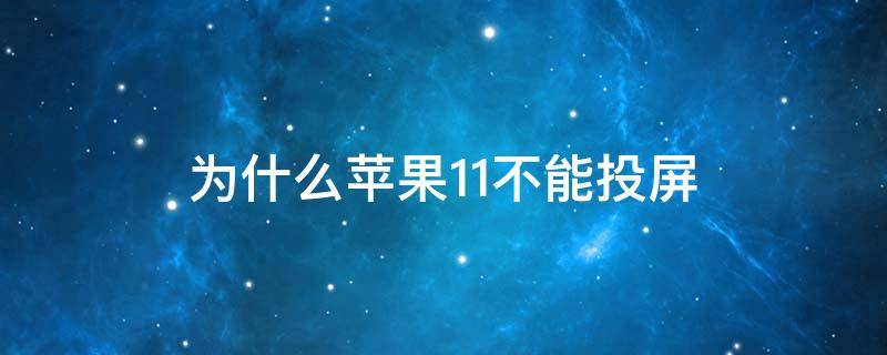 為什么蘋果11不能投屏（為什么蘋果11不能投屏,顯示無法連接）