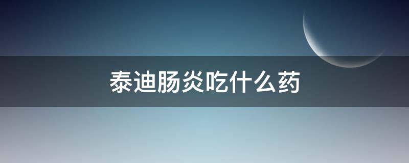 泰迪腸炎吃什么藥（泰迪腹瀉吃什么藥）