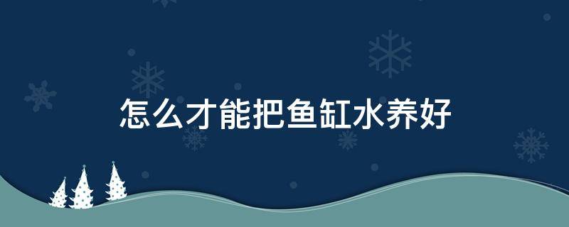 怎么才能把魚缸水養(yǎng)好（怎樣才能養(yǎng)好魚缸的水）