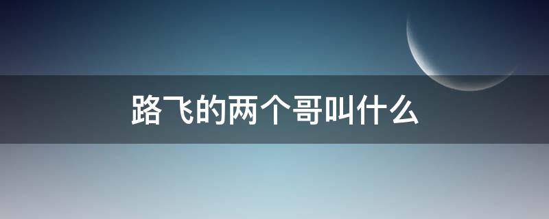 路飛的兩個(gè)哥叫什么（路飛他二哥叫啥）