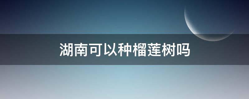 湖南可以种榴莲树吗（湖南可以种榴莲树吗?）