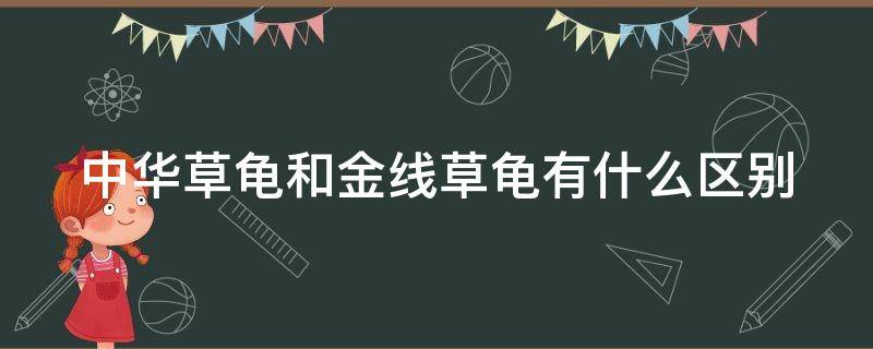 中華草龜和金線草龜有什么區(qū)別 中華草龜和金線草龜有什么區(qū)別?