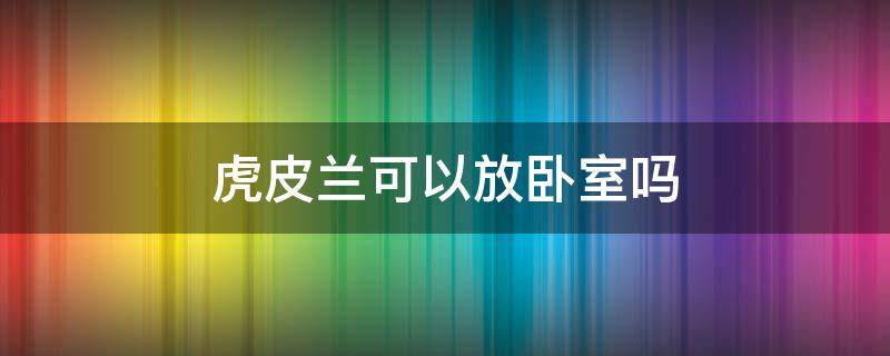 虎皮兰可以放卧室吗（虎皮兰可以放卧室吗?）