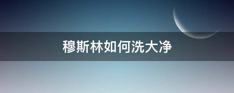 穆斯林如何洗大净（穆斯林怎样洗大净）