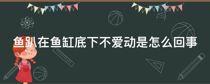 鱼趴在鱼缸底下不爱动是怎么回事 金鱼趴缸底会自愈吗