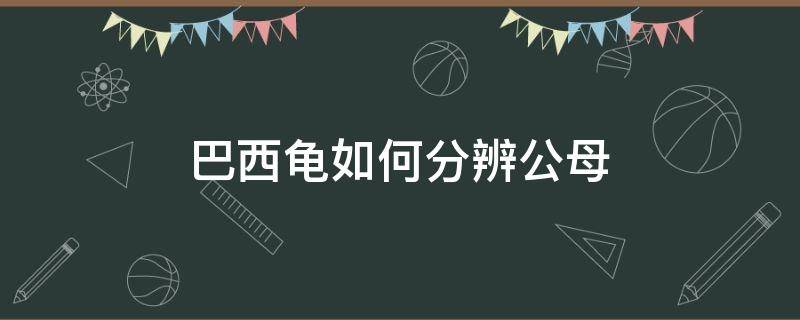 巴西龟如何分辨公母 巴西龟如何分辨公母?