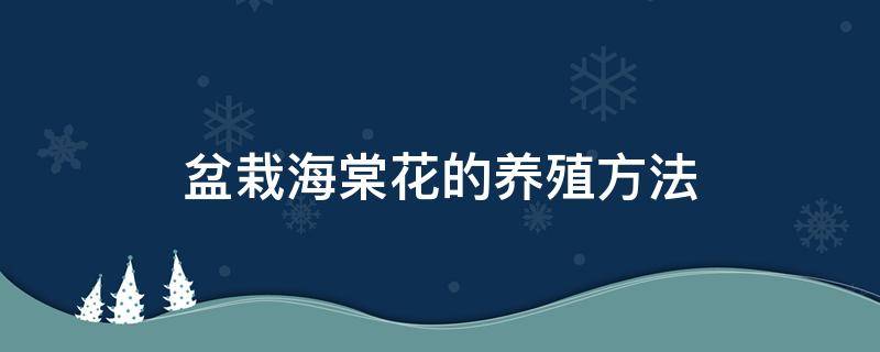 盆栽海棠花的养殖方法 盆栽海棠花的养殖方法夏季