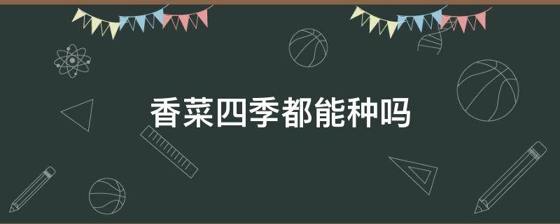 香菜四季都能種嗎 香菜這個季節(jié)可以種嗎