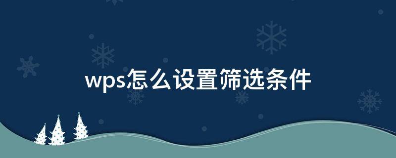 wps怎么设置筛选条件 wps如何设置筛选条件