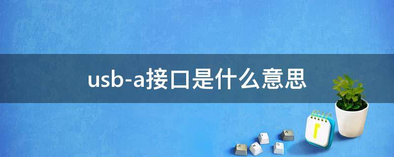 usb-a接口是什么意思 usb-c usb-a接口是什么意思