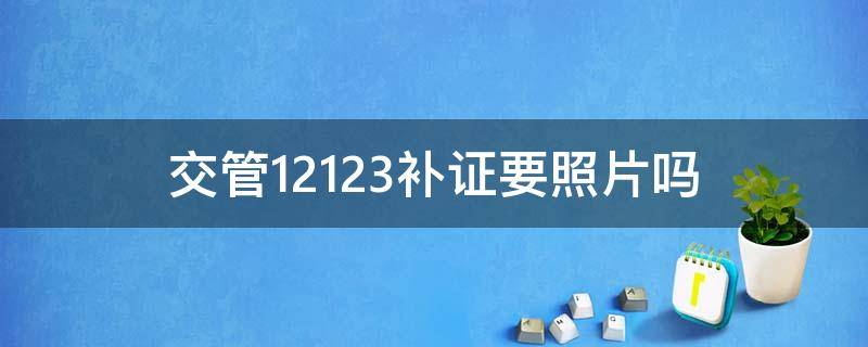 交管12123补证要照片吗（12123补证需要照片吗）