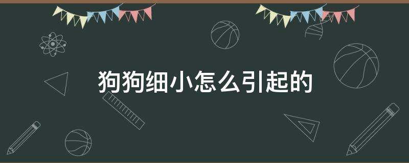 狗狗细小怎么引起的 狗狗细小是怎样引起的