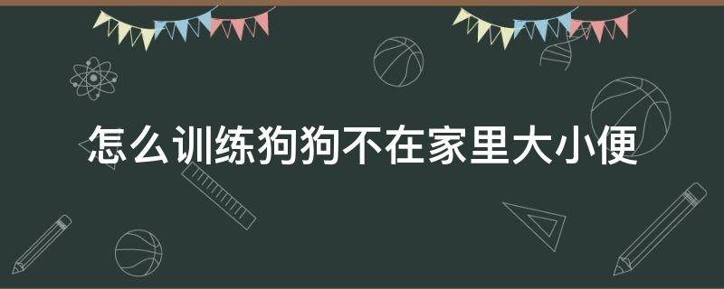 怎么訓練狗狗不在家里大小便 怎樣訓練小狗狗不隨地大小便