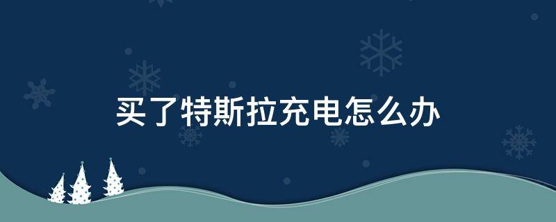 买了特斯拉充电怎么办 特斯拉充不了电怎么办