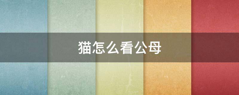 貓?jiān)趺纯垂福▌偝錾男∝堅(jiān)趺纯垂福?></p>
      <p></p>                                     <p>小貓公母的問題，如果幼齡貓從顏色分，首先三花，通俗講三花注定是母貓。如果從生理特征來區(qū)分，用手一摸就能摸出公母，有小蛋蛋就是公貓，沒有小蛋蛋就是母貓。如果從年齡特征來區(qū)分，對于幼貓可能不好區(qū)分。</p><p>如3個(gè)月之前，在小貓沒有完全開始發(fā)育之前，可能摸不出有小蛋蛋。那就從特征來分，如手拿著尾巴，拿起來用肉眼觀察，第一眼看到尾巴下方是肛門，如果肛門最近的是生殖腔那就是母貓，其次為公貓，這就從距離分。如果養(yǎng)到3-5個(gè)月，小貓開始逐漸發(fā)育，不需要用肉眼，一摸就能摸出來公母之分。如果買到、領(lǐng)養(yǎng)的一只成年貓時(shí)做過絕育，分公母同樣通過肉眼觀察法分辨生殖器。這只貓沒有做過絕育，是一只隱睪貓，要看、要摸就能分辨出公母貓。</p>                                     </p>    </div>
    
   <div   id=