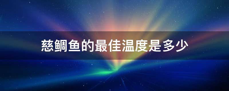 慈鲷鱼的最佳温度是多少（慈鲷鱼水温度多少最佳）