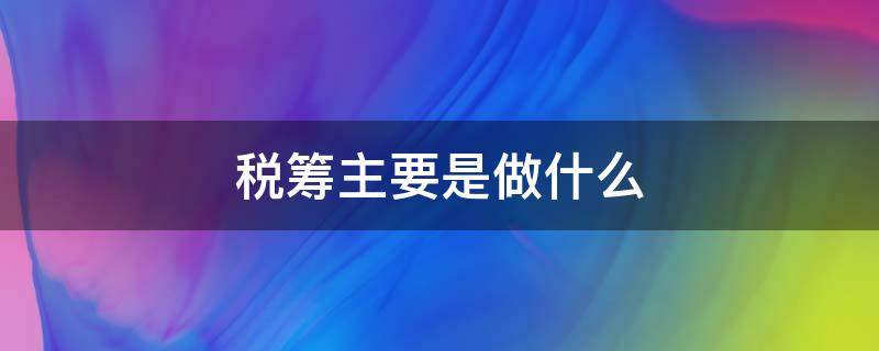 稅籌主要是做什么（稅籌銷(xiāo)售主要是做什么）