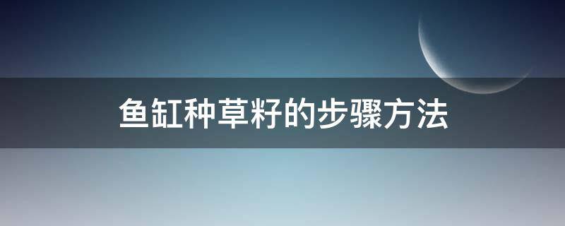 魚(yú)缸種草籽的步驟方法（魚(yú)缸種草籽教程）