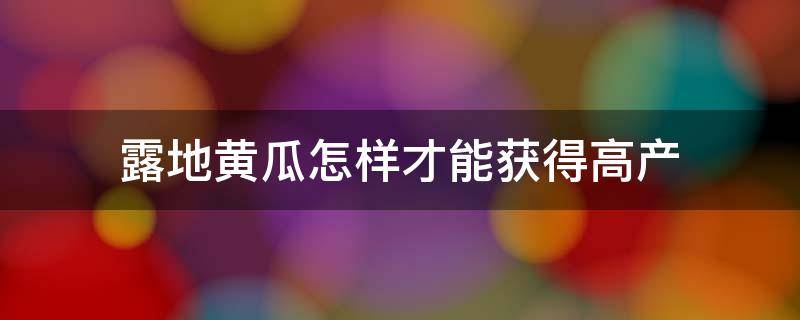 露地黄瓜怎样才能获得高产 水果黄瓜露地种植技术