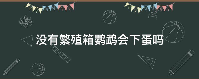 没有繁殖箱鹦鹉会下蛋吗 鹦鹉没有繁殖箱会孵蛋吗