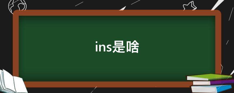 ins是啥 小鬼王琳凯ins是啥