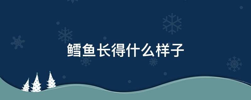 鱈魚長得什么樣子 鱈魚的長相