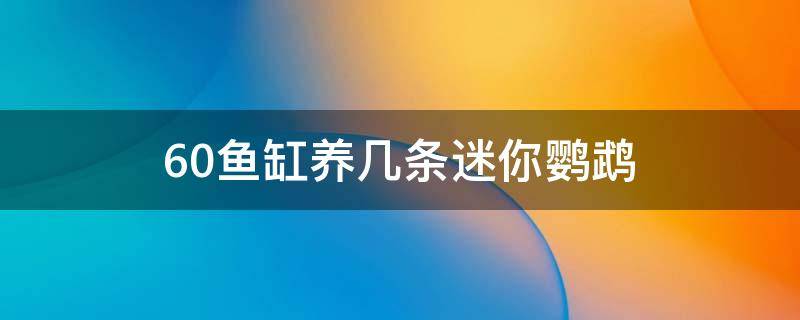 60魚缸養(yǎng)幾條迷你鸚鵡 60缸能養(yǎng)幾條迷你鸚鵡魚