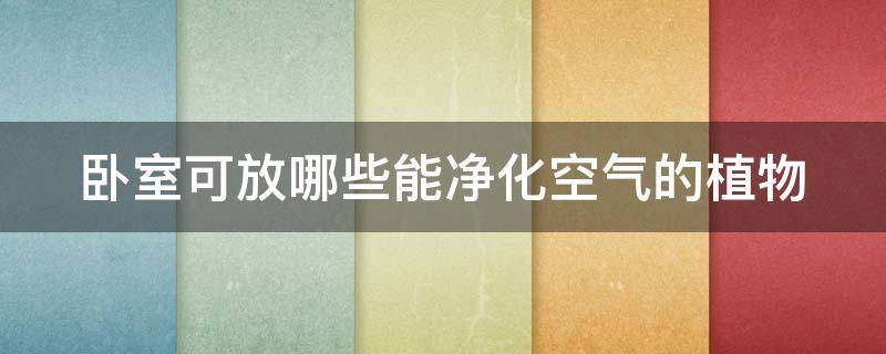 卧室可放哪些能净化空气的植物（卧室可放哪些能净化空气的植物呢）