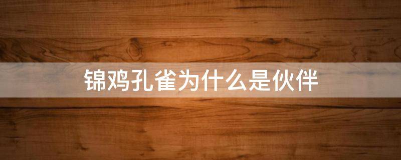 錦雞孔雀為什么是伙伴（孔雀錦雞是伙伴還有什么和什么是伙伴）