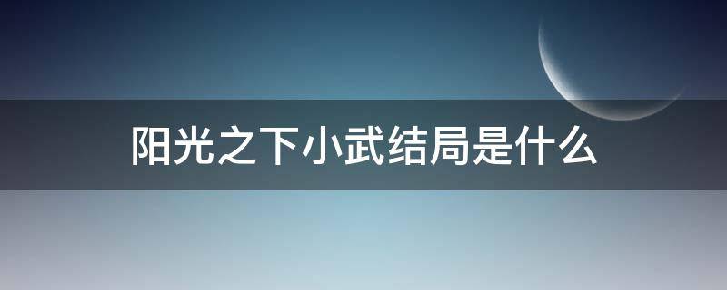 陽光之下小武結(jié)局是什么（陽光之下小武到底愛誰）