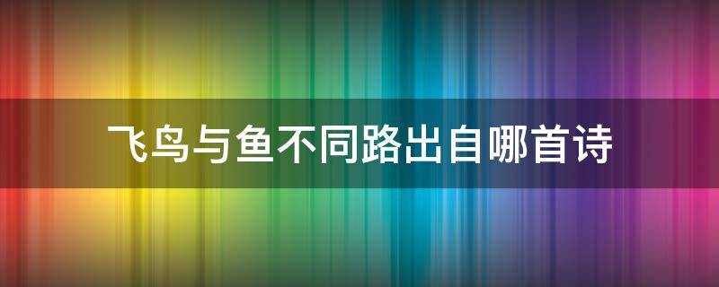 飞鸟与鱼不同路出自哪首诗 飞鸟和鱼不同路下一句