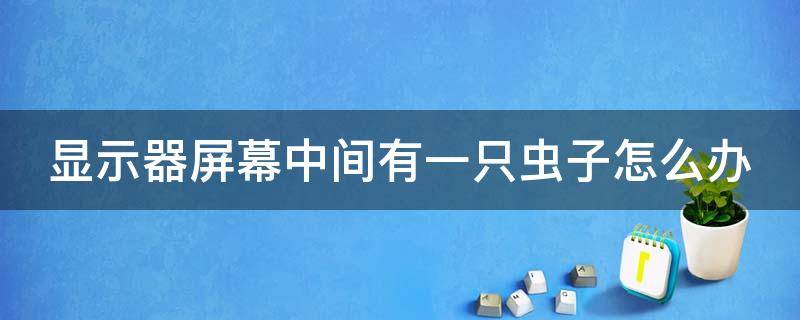 显示器屏幕中间有一只虫子怎么办 显示器中间有个小黑块