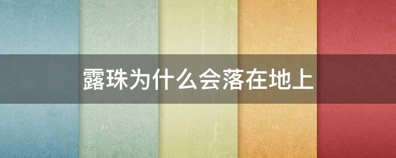 露珠为什么会落在地上 露珠还会落在什么上