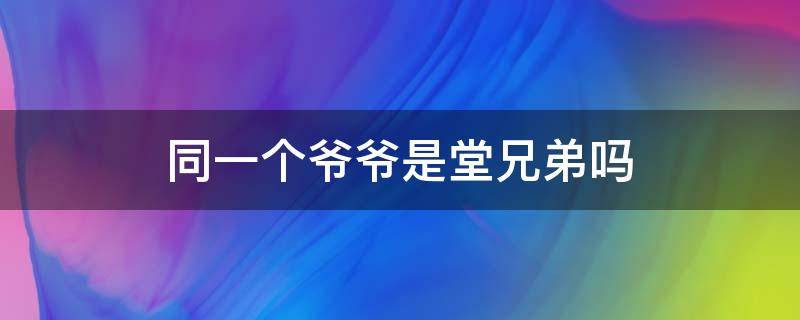 同一个爷爷是堂兄弟吗 同一个姥爷的弟兄称为堂兄弟吗