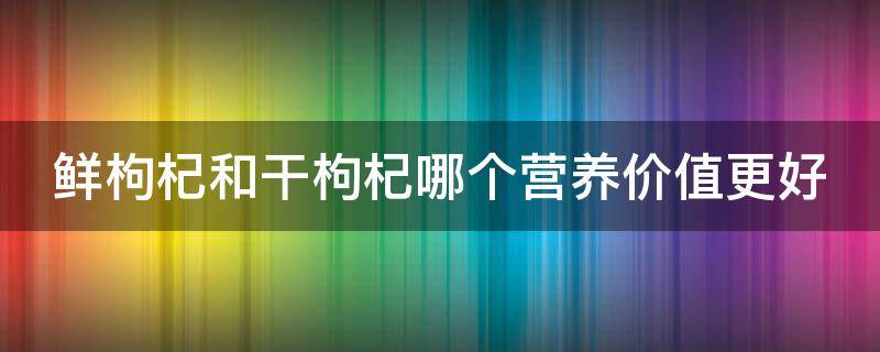 鮮枸杞和干枸杞哪個營養(yǎng)價值更好（鮮枸杞和干枸杞有什么區(qū)別）