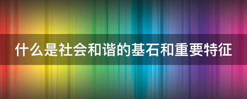 什么是社会和谐的基石和重要特征（社会和谐的基石和重要基础）