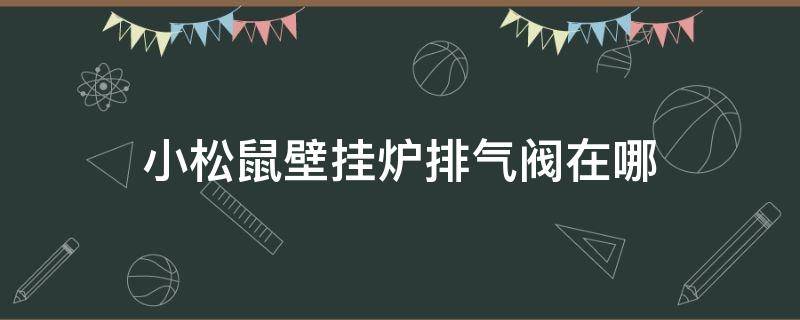 小松鼠壁挂炉排气阀在哪（小松鼠壁挂炉排气阀门在哪里）