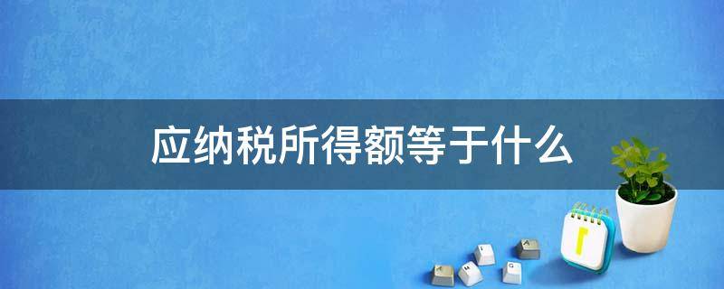 应纳税所得额等于什么 应纳税所得额等于什么除以什么