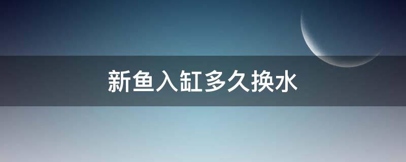 新魚入缸多久換水 新魚入缸多久換水?